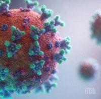 Новият щам на коронавируса плъзна - открит е в шест държави извън Обединеното кралство