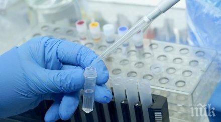 трима души фалшиви pcr тестове засечени дунав мост русе