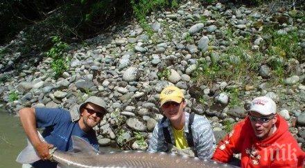 удължават забраната улов застрашени видове есетрови риби българската акватория река дунав черно море