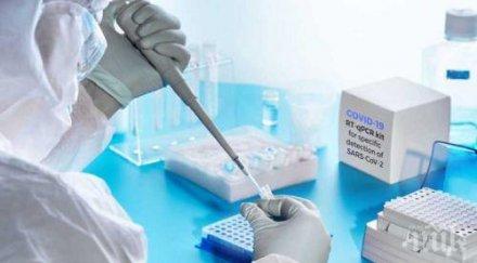 разкриха схема фалшиви pcr русе