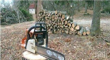 горски 983 проверки североизтока