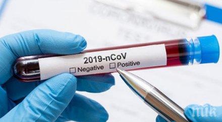 рекордна смъртност пациенти коронавируса турция