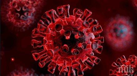 covid навлезе чилийска антарктическа база