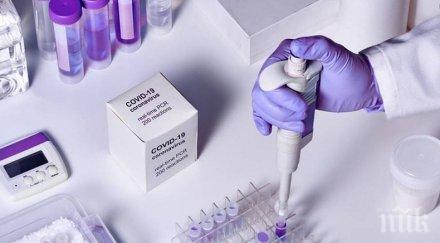 всички пристигащи нидерландия самолет покажат резултати тест коронавируса