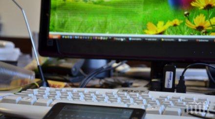 семейство уилямсън село памидово пусна онлайн изложба