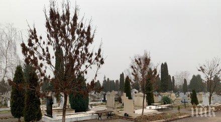 мрачно бум починалите враца covid препълни гробищата града