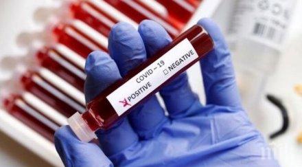 370 новозаразени коронавируса мексико денонощие