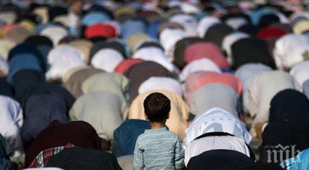 революционно разрешиха мюсюлманите ползват ваксини свински желатин