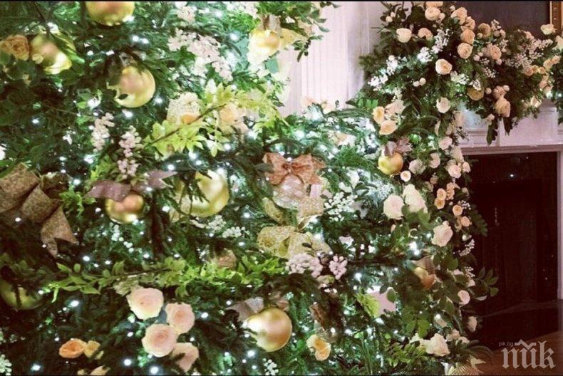 ИСТОРИЧЕСКО: Продават елхи и коледни играчки в Саудитска Арабия