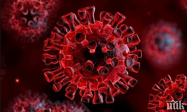 COVID-19 навлезе в чилийска антарктическа база