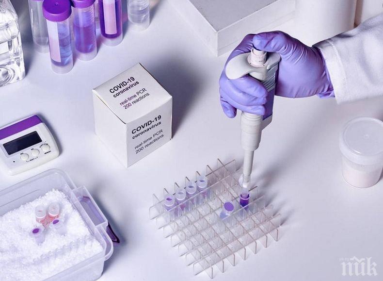 Всички, пристигащи в Нидерландия със самолет трябва да покажат резултати от тест за коронавируса