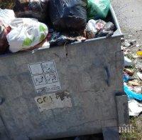 Над 13 млн. лв. разходи за чистота и обезвреждане на битовите отпадъци в Плевен