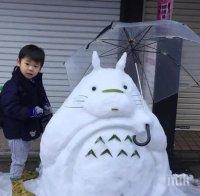 Метеоролози предупредиха за обилни снеговалежи в Япония на Нова година

 