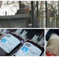 СПЕКУЛА С КРЪВ: 1000 лева на черно е сак с плазма срещу COVID-19