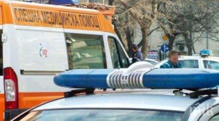 животни убиха годишен мъж село щит