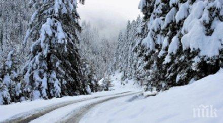 снеговалежи силни ветрове оставиха без ток 360 населени пункта украйна