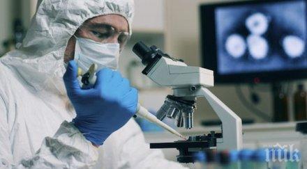 невероятно неандерталски ген осигурява защита covid