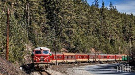 косъм паднали дървета катурнаха теснолинейката снимка