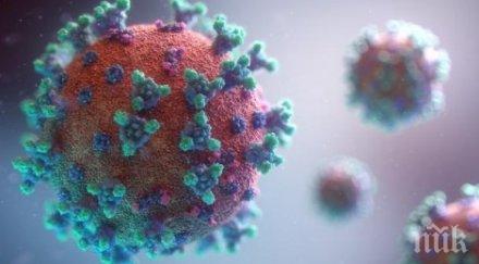 шест души второ мъжко отделение държавна психиатрична болница ловеч коронавирус