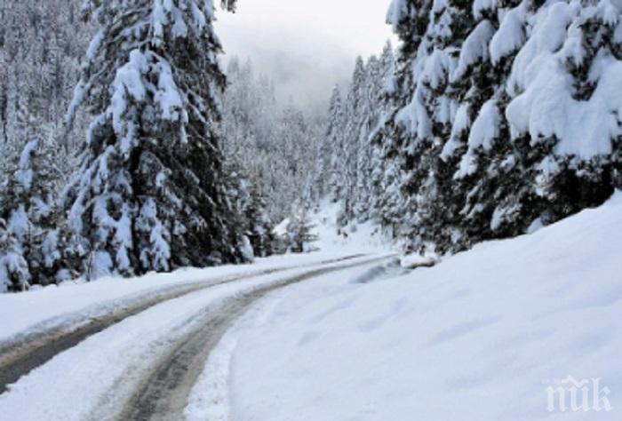 Силен снеговалеж затвори временно Прохода на Републиката