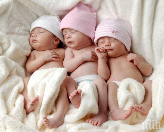 Чудо във Великобритания! Британка с две матки роди тризнаци