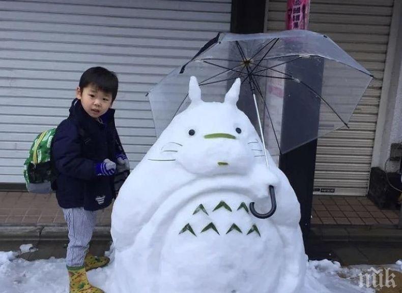 Метеоролози предупредиха за обилни снеговалежи в Япония на Нова година

 
