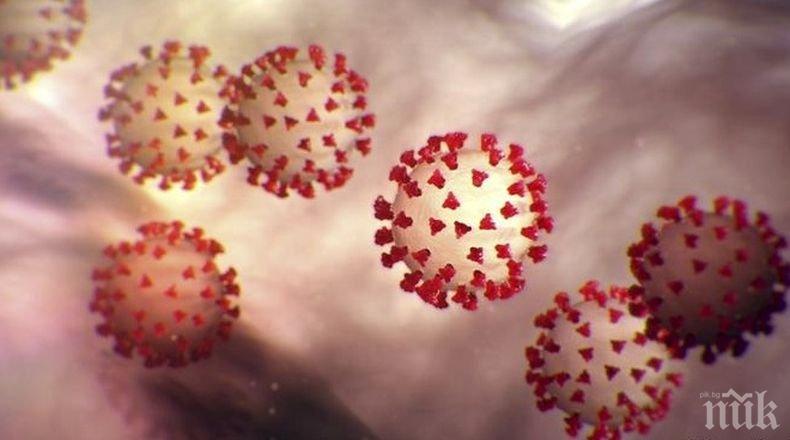 Над 80 милиона са случаите на COVID-19 по света