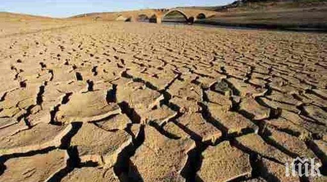 ЩАСТЛИВА РАЗВРЪЗКА: Спасиха баща и син в Австралия – спътниците им ходили 12 часа, търсейки помощ