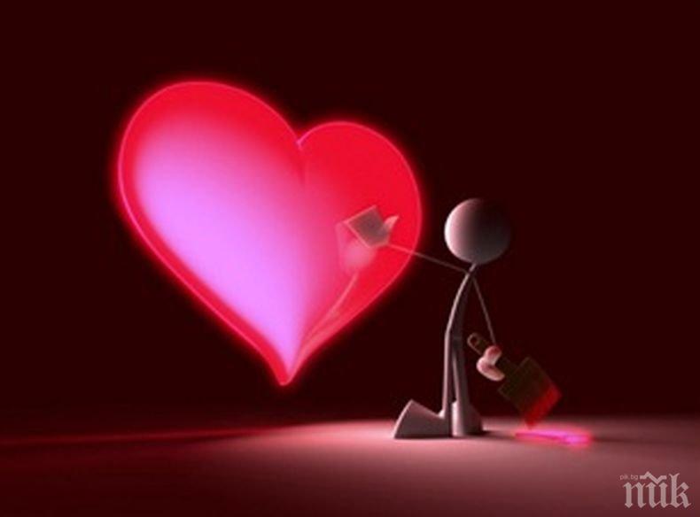 Видове любовна химия за щастлива връзкa