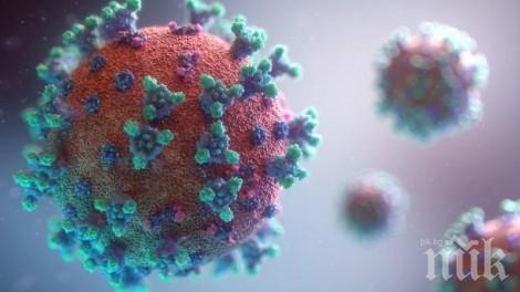 Шест души от Второ мъжко отделение на Държавна психиатрична болница в Ловеч са с коронавирус