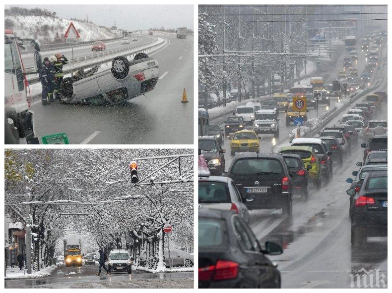 МВР с горещи данни: 11 тежки катастрофи са станали в страната за последните 24 часа