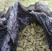 Откриха над 50 кила марихуана край Свиленград, четирима с белезници на ръцете
