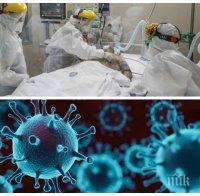 Откриха нов опасен щам на коронавируса в Япония