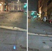 АПОКАЛИПТИЧНО: Хиляди мъртви птици по улиците на Рим