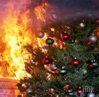 60 коли горяха в Страсбург в новогодишната нощ