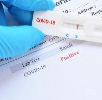 Ето къде на 1, 2 и 3 януари може да си направите PCR-тестове