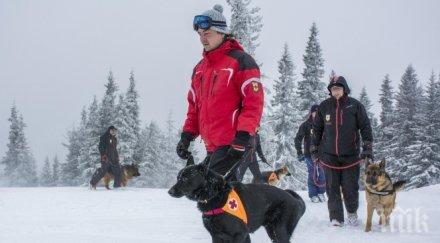 спасител покъртителни подробности ужаса разиграл връх ботев