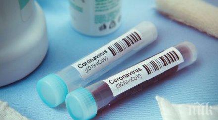 новият щам covid полази турция