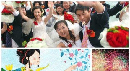 каква 2021 годината белия метален вол