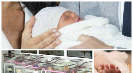 пандемичен бейби бум проплакаха деца