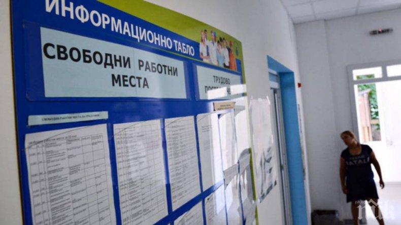 Близо 380 000 са новорегистрираните безработни в България за периода февруари - декември 2020 г.