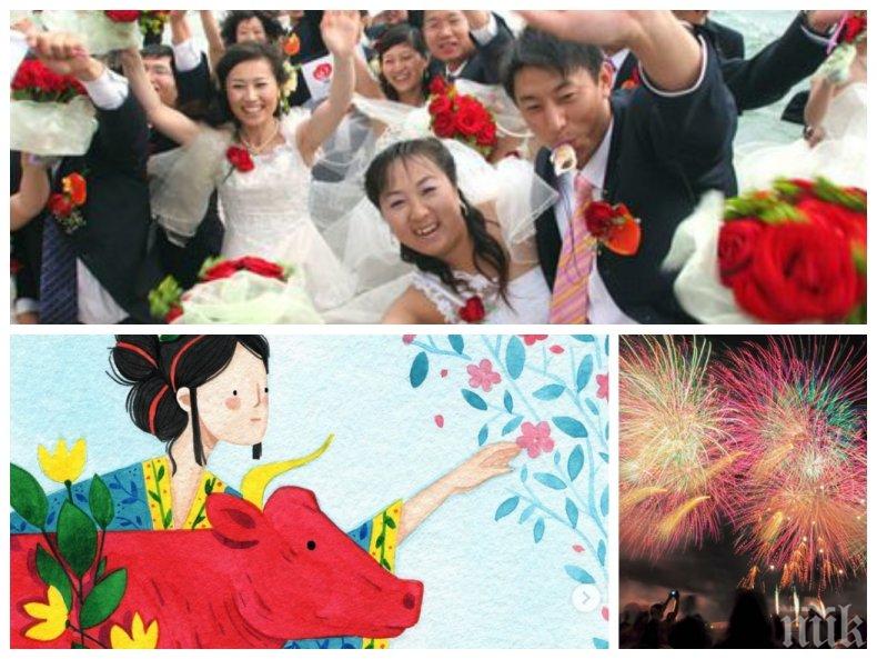 Ето каква ще бъде 2021-а - годината на белия метален вол 