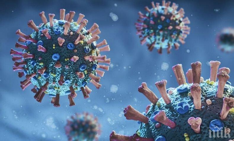 ПАНДЕМИЯТА: Заразените с коронавирус в света са почти 82 млн.