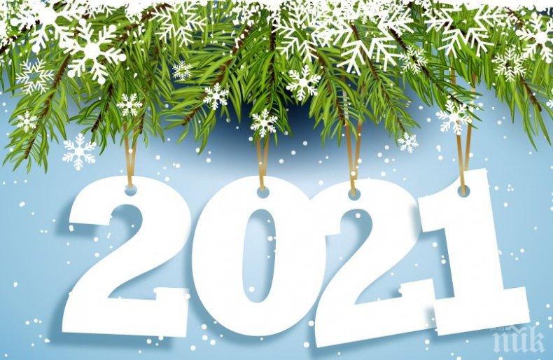 ЧЕСТИТА НОВА 2021 ГОДИНА! 