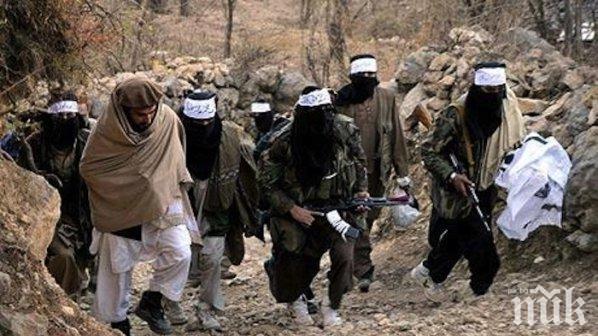 Афганистанските сили са отбили атака на талибаните. Седем терористи са убити