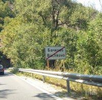 Община Асеновград: Разпространява се неточна и невярна информация за отсичането на дървета край Бачково