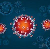 Франция се затваря за страните извън е ЕС и въвежда изискване за PCR тест и на сухопътните си граници