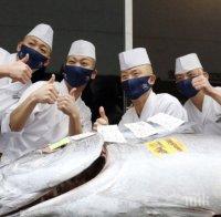 Продадоха риба тон за 202 000 долара в Япония