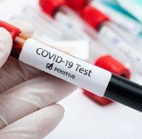 79 души преболедуваха COVID-19 в Пловдивско, починаха шестима