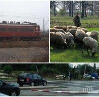 СИГНАЛ ДО ПИК: Влакове газят овце, а хулигани си играят с огъня - барикадират с камъни и бетонни колове жп линия в Пловдив